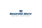 Bdw239-43676-03 239-43676-03 Bradford White Bdw Resetable 643303906077