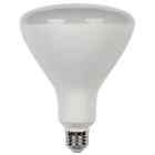 4306300 Westinghouse Single Watt Damp Rated Dimmable Shaped Medium 030721430633