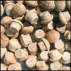 5-250-oak-mwp-amazon-price Widgetco 1-4 Oak Button