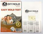 643462342334 Diy Mold Test The