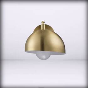 65000048 Globe Electric - 1-light Wall Sconce Brushed Bras Brass Holly