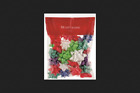 68101 Holiday Basix Gift Bow For Use With Wrapping 026521893532