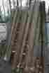 87ex124 Pole-wrap Fake Tree Trunk Lally