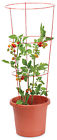89901tv Panacea Products Corp 25 093432899014
