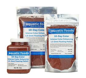 Aquatic Foods Inc. 840436741593 Ultra Intense Color Enhancing With A 4 Ounce Pack Of 1