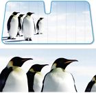As-606 Bdk Penguins Sunshade Look 826942650963