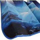 As-761 Bdk Design Auto Shade 826942655623