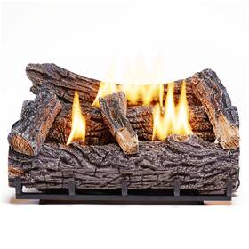 170458-u-b Duluth Forge 22 Inch 32 000 Btu Natural Gas Fireplace Log Set Winter Oak Used