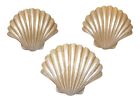 Er37868 Ganz Coastal Shaped Scallop