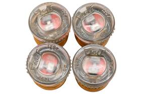 Gtl20 Gould 20a-125v Plug Fuses Qty 4 Nos