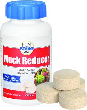00782 Koi Worx Koiworx Muck Reducer - Treats Up To 2 500 Gallons For Gallon Treatment