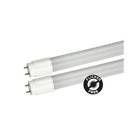 L15t8se440-cg4 Maxlite Single Watt Bi Pin Led Bulb 767627906381