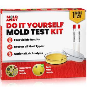 Mold Alert 850050699187 Moldalert Test Kit For Home Diy At With Self-analys