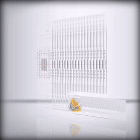 Mountlaser 741421818125 Crack Monitoring Record For Standard Tell-tale Monitor The Stan
