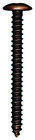 N281-543 National Hardware Bracket Screw 038613281547