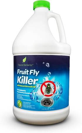Natural Elements 445027214239 Fruit Fly Killer Drain Flies Gnats Flying Ants Home And Com