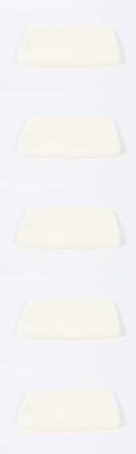 544271601 Redmax 5 Pack Oem Air Filter Fits Ebz7500 Ebz8500 170bf 180bt 380bfs