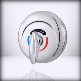 4-500-trm Symmons Industries Visu-temp Shower Valve Trim In Polished Chrome Not Inc