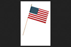 Use12d Valley Forge American Flag 093581900029