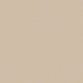Wilsonart 1530603506096 Laminate Sheet 5ft X 8ft Standard Matte Finish Stain Resistant In Beige