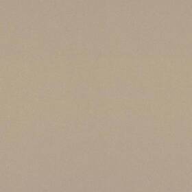 48416035048144 Wilsonart Laminate Sheet In Desert Zephyr 4ftx12ft Transitional In-stock Beige
