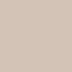 D4396035048144 Wilsonart Countertops 48 Inch W Laminate Standard Matte Classic Modern In-stock Beige