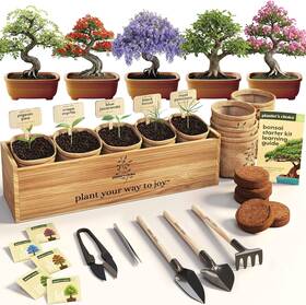 Wonderfun 850074770008 Bonsai Gift Kit Unique Christmas For Women Men Friends Coworkers And H