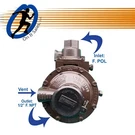 Rego Regulator LV404B39V9 Compact Twin Stage - F.pol X 1/2" F.npt. Fixed Price $88.00.