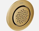 Moen TS1322BG Mosaic 3.25 In. Body Jet Brushed Gold With Adjustable Angle. Fixed Price $158.99.