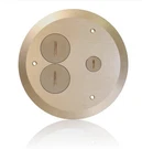 Leviton FBC1X-B Brass Concrete Floor Box Cover Plate 2 Duplex Data Cap. Fixed Price $119.00.
