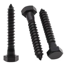 10 Pcs 5/16X3 Inch Black Hex Head Lag Bolt Screw 304 Stainless Steel 188. Fixed Price $19.01.