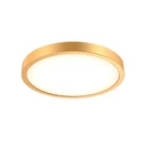 Dals Lighting CFLEDR10-CC Delta 10"W Flush Mount Drum Ceiling Gold. Fixed Price $133.68.