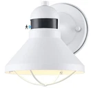 Lonedruid Dusk To Dawn Motion Sensor Led Outdoor Barn Light, White. Fixed Price $24.49.