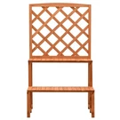 Plant Rack Stand With Trellis Flower Pot Orange Solid Wood Vidaxl. Fixed Price $76.99.