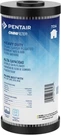 Pentair Omnifilter TO6 Carbon Water Filter, 10-INCH, Whole House Heavy Duty Big. Fixed Price $29.99.