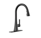 Kohler Guild Pull-down Kitchen Sink Faucet With Three-function Sprayhead Black. Fixed Price $84.95.