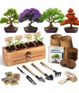 Avergo Bonsai Kit 4X Unique Japanese Bonzai Trees Complete Indoor Start. Fixed Price $48.57.