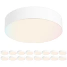 Zago Inch Led Frameless Surface Mount Ceiling Light, 5CCT Switchable, Showe.... Fixed Price $257.29.
