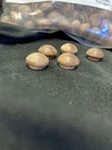 Widgetco 3/8" Mahogany Button Top Wood Plugs Qty: 250. Fixed Price $50.00.