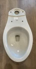 American Toilet Bowl White Elongated Colony EVOLUTION2 3068001.020. Fixed Price $150.00.