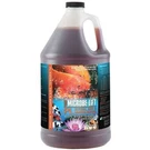 Microbe Lift Gallon Koi Pond Beneficial Bacteria Clarifier 10PLG4. Fixed Price $51.44.