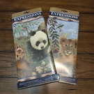 Expressions Wallpaper Border Jungle Babies 2 Packages Unopened. Fixed Price $23.95.
