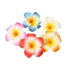Pcs Plumeria Flower Clips Hawaiian Count (pack Of 10), Multicolor. Fixed Price $8.49.