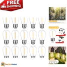 Elegant Warm White Led Edison Bulbs - 15 Pack S14 String Lights For Outdoor Use. Fixed Price $24.49.