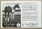 1965 Lazy Ranch Alexandria Louisiana Print Ad Q-ton Eagle Champion Stallion. Fixed Price $17.85.