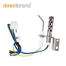 Ao Smith Water Heater Igniter 9005256015 And 100110355. Fixed Price $135.48.