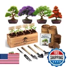 Avergo Bonsai Kit 4X Unique Japanese Bonzai Trees Complete Indoor Start. Fixed Price $49.98.