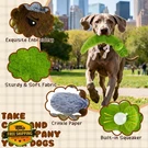 Lssyyqq Stuffing Squeak Dog Toy Crocodile, Plush, Not For Chewers. Fixed Price $27.99.