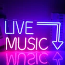 Live Neon Sign Led Large Blue And 42 X 22 Cm, MUSIC-2. Fixed Price $42.79.