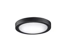 Fanimation Spitfire Ceiling Light Kit Black. Fixed Price $159.98.